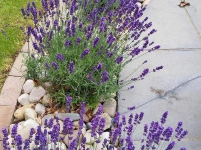 Apartman Aqua Podstrana Kültér fotó